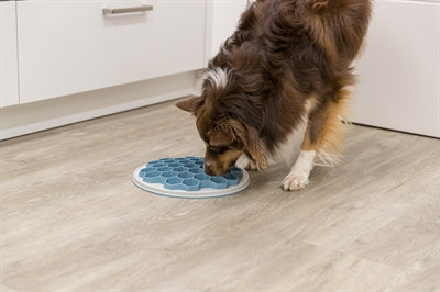 Trixie Slowfeeding Platehive Kunststoff / Tpr / Tpe Grau / Blau 30X30 CM